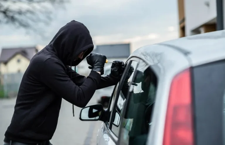 car-theft-small